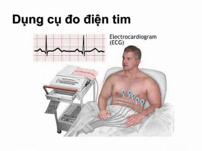 Hình ảnh so sánh cách biến đổi của động từ thường (thêm -ed) và động từ bất quy tắc (biến đổi khác) ở các dạng V1, V2, V3